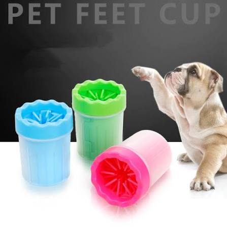 Pet Play