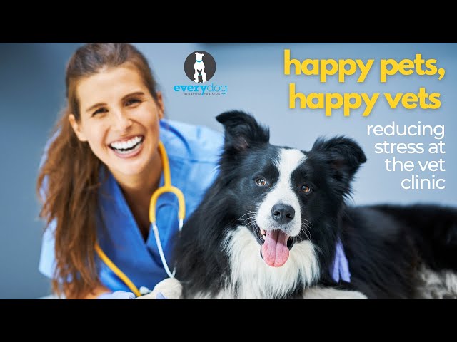 Happy Pets