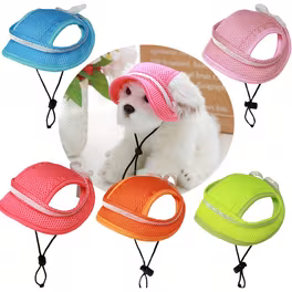 Pet Hat
