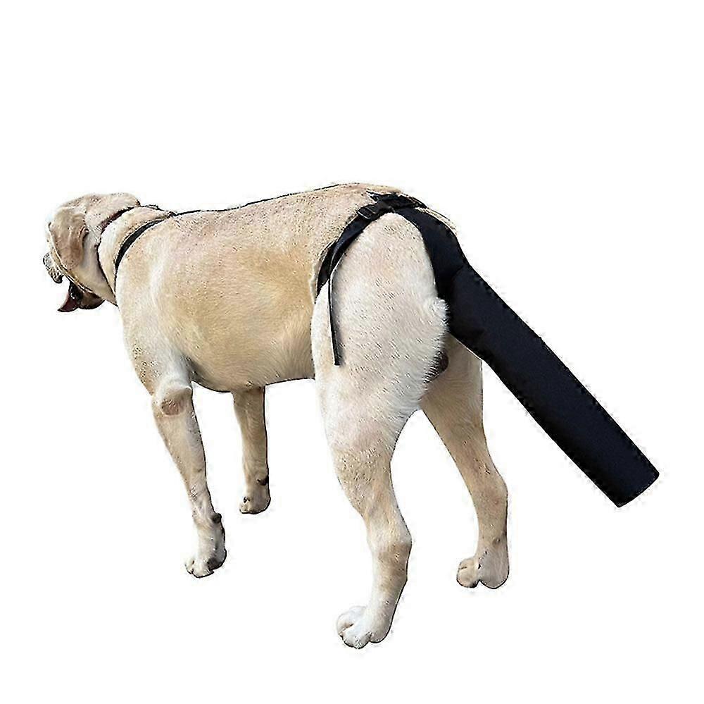 Tail Protector